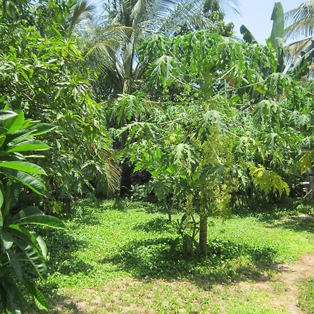 Local Beach Homestay Hoi An Zewnętrze zdjęcie
