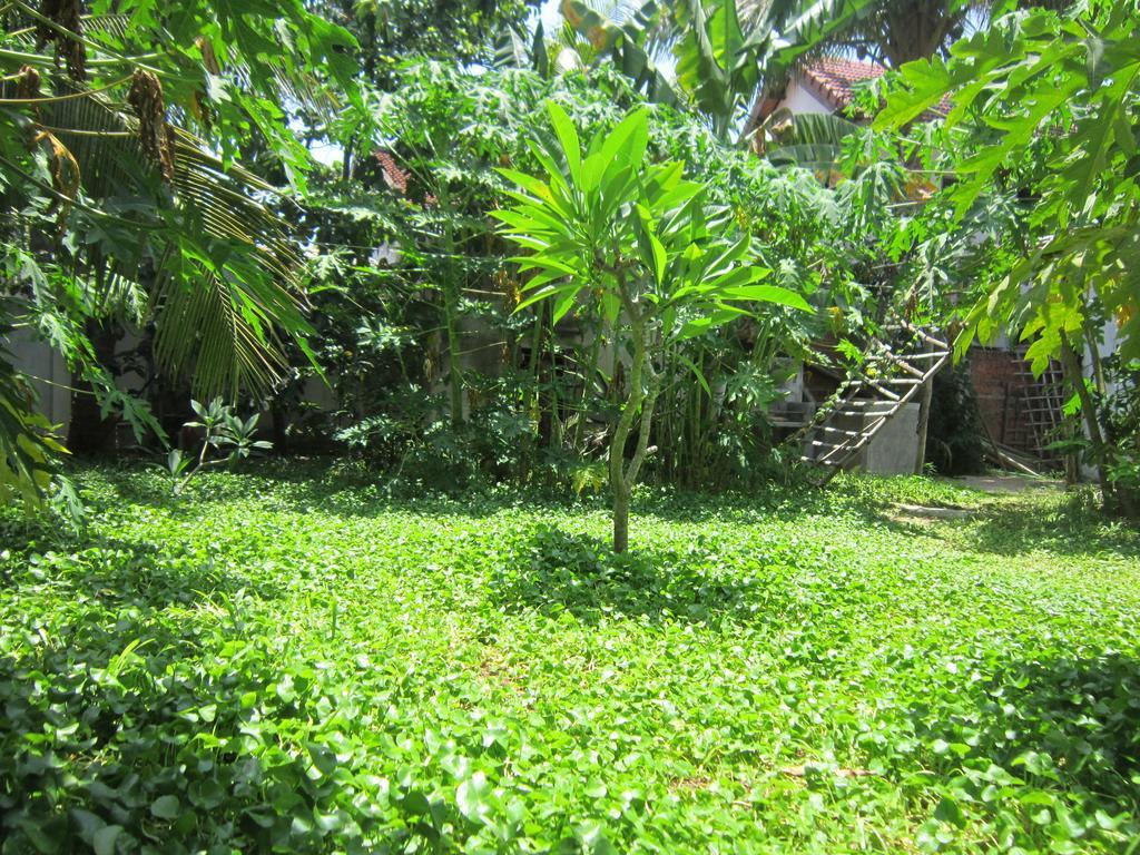 Local Beach Homestay Hoi An Zewnętrze zdjęcie